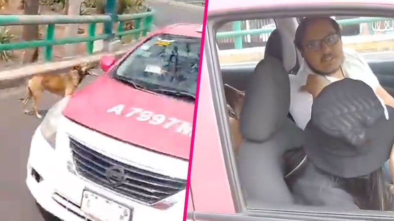 Mujer enfrenta a personas que intentaron abandonar a perrito en pleno Periférico