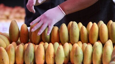 Las supervisiones en Michoacán seguirán hasta que haya seguridad