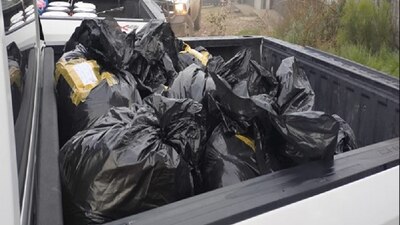 Lo asegurado fue puesto a disposición de las autoridades competentes