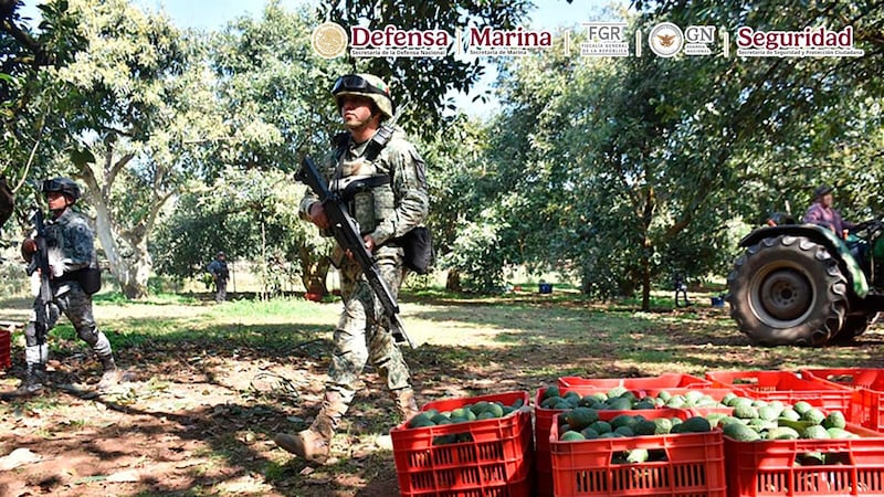 Plan Michoacán: Aseguran cartuchos, cargadores y explosivos improvisados