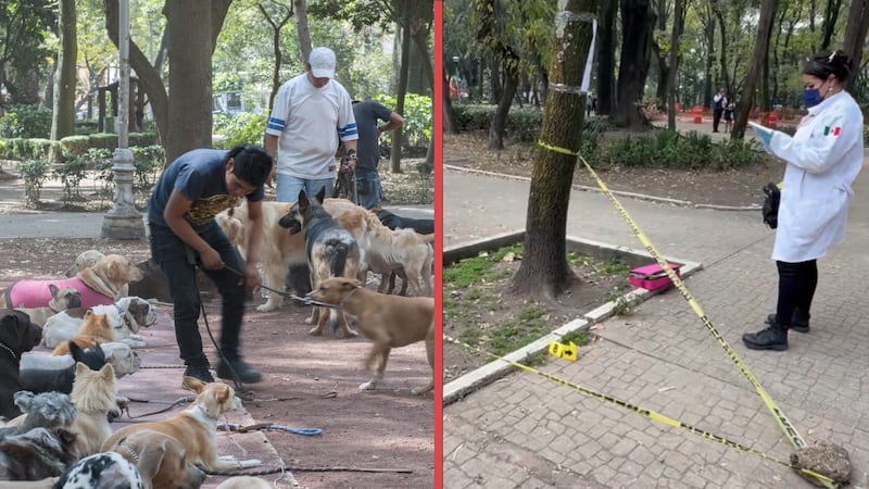 Investigan, bajo crueldad animal, el múltiple envenenamiento de perros en el Parque España