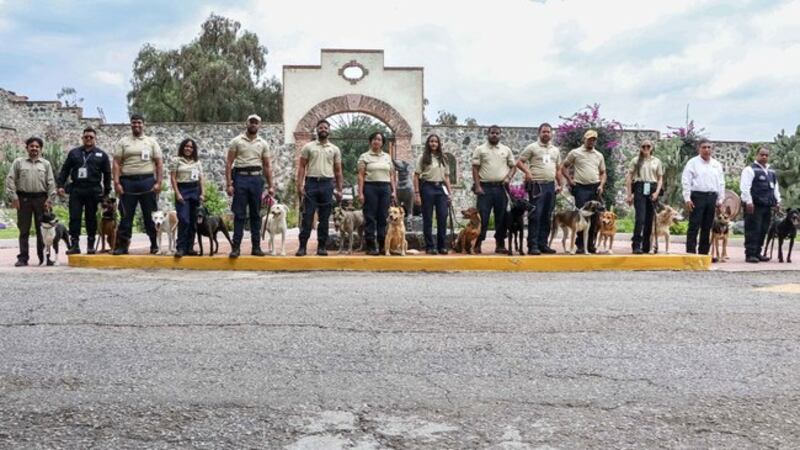 Senasica gradúa a 14 binomios caninos para labores de inspección de plagas