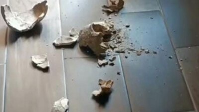 Arqueólogos afirman que se partió en 3, pero en la imagen se ven más fragmentos