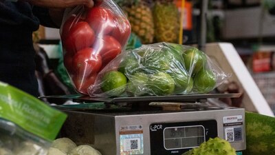 El chayote tuvo una caída en su precio de 45.66% quincenal; el tomate verde, 9.35%, y el jitomate, 4.91%