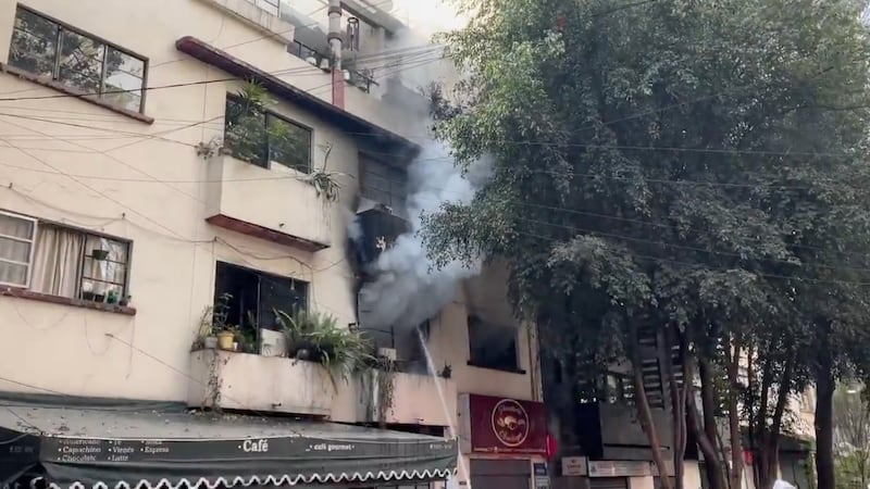 Perrito muere durante incendio en inmueble de la alcaldía Cuauhtémoc