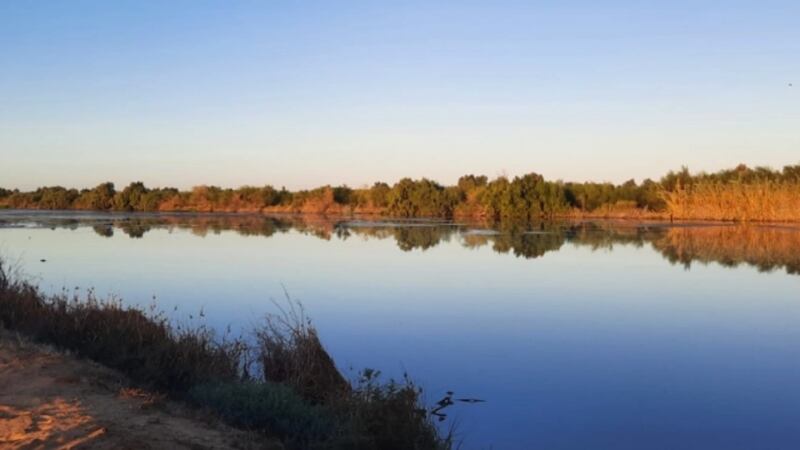 Conagua aclara que agua extraída de presa La Amistad se utilizó para abasto de estados del noreste