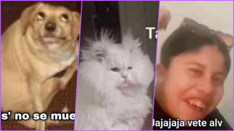 Los mejores memes del sismo que no se sintió en CDMX pero que sí espantó a muchos