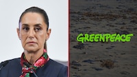 “Imagen difundida por Greenpeace sobre derrames de hidrocarburo en el Golfo es falsa”: Sheinbaum
