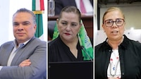 Círculo Taddei: los que ya renunciaron y los que quedan en el INE