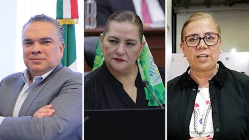 Círculo Taddei: los que ya renunciaron y los que quedan en el INE