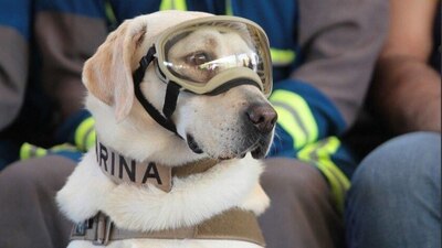 'Frida' recibió una condecoración por parte de la Secretaría de Marina