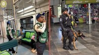 Despliegan operativo en el Metro para frenar casos de pinchazos en los vagones
