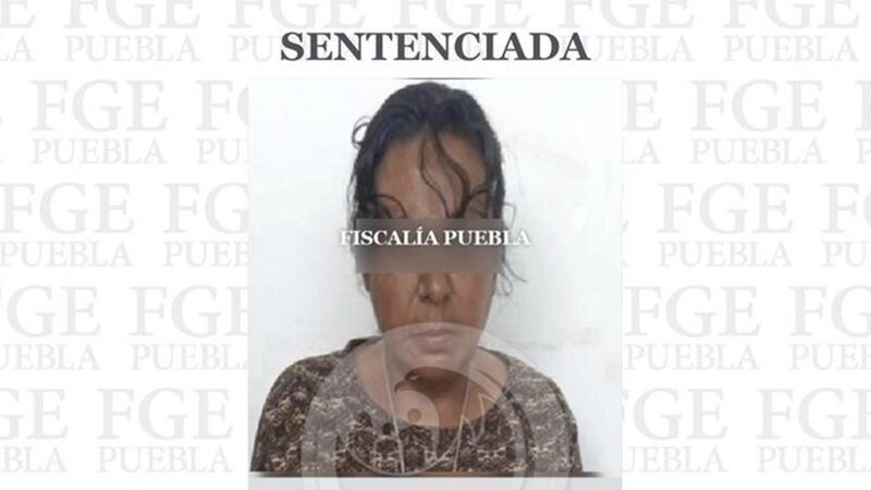 Dan 2 años de prisión a mujer que mataba perritos para vender su carne para consumo humano