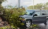 “Son gajes del oficio”: Reporteros se encuentran estables tras ser arrollados por una camioneta