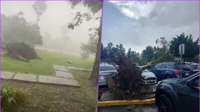 La FES Aragón tuvo que suspender clases por las diversas afectaciones