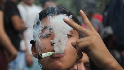 La droga ha sido aprobada en México solo para fines medicinales