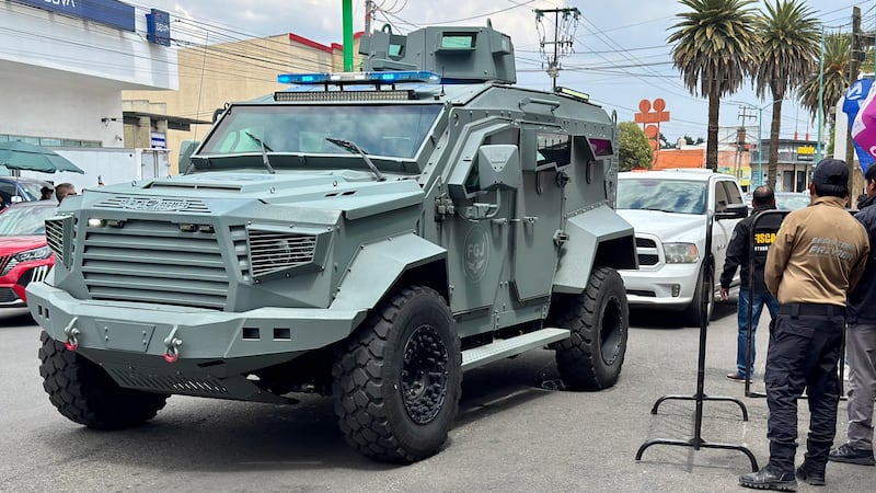 Caen 3 sujetos relacionados con el feminicidio de Anaid Belén, rescatista de perritos en Edomex