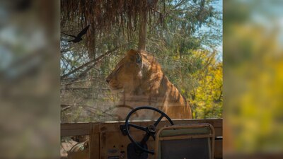 Este parque necesita dos nuevos conducotres