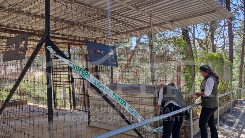 Clausuran Camino Real del Tigre, en Mazamitla, por presuntamente sedar animales