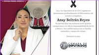 Fallece Anay Beltrán, diputada federal de Morena en Tultitlán, a los 44 años