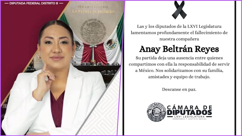 Fallece Anay Beltrán, diputada federal de Morena en Tultitlán, a los 44 años