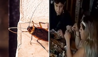 #LadyCucaracha: Captan a mujer que pone insecto en su comida para no pagar