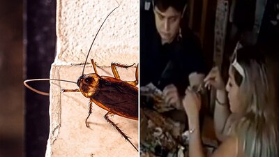 La mujer fue captada mientras sacaba una cucaracha de un recipiente