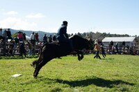 ¿El toro de lidia se extinguirá si desaparecen las corridas? Esto dice la UNAM