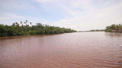 Este hecho se da días después de que en la misma demarcación se reportó mortandad de peces