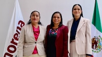 Liman asperezas en Morena: reaparecen juntas Abelina López y Beatriz Mojica