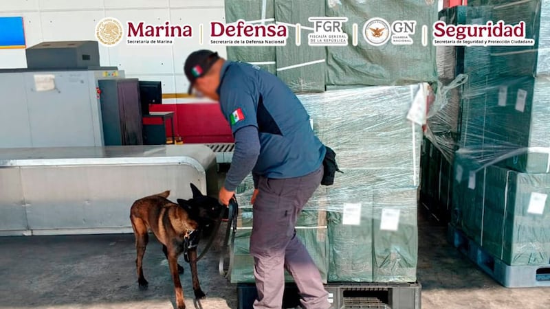 Marina incauta cerca de 20 toneladas de tabaco ilegal en el AICM