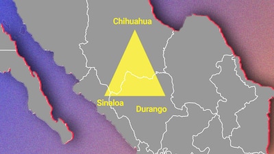 En la zona se cultiva amapola y mariguana