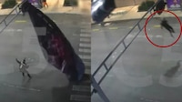 VIDEO: Cámaras de la CDMX captan momento exacto en que un paracaidista ‘aterriza’ en un semáforo