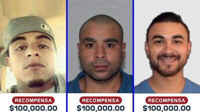 La Fiscalía de Michoacán reveló la identidad de 6 presuntos responsables de la ejecución de 11 personas en Michoacán
