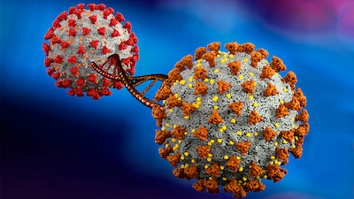 Se hizo un llamado a la población para reforzar las medidas preventivas y contener los brotes