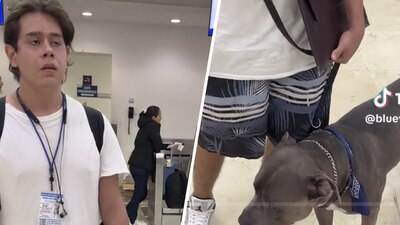 Abordar un avión por no llevar bozal y joven hace denuncia