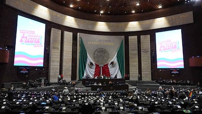 El siguiente paso será que los diputados discutan ambas iniciativas en el pleno