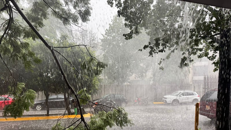 Reportan fuerte tormenta al sur de la CDMX; granizo derriba árboles y ramas