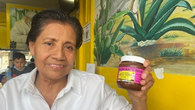 La activista fue deportada antes de iniciar un programa de ayuda a migrantes