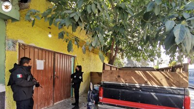 Agentes de la Guardia Nacional recuperaron a miles de animales que se encontraban en domicilios de Iztapalapa