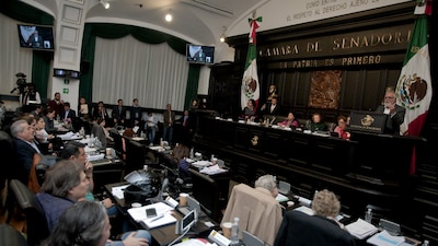 Los constituyentes de la capital rechazaron debatir el uso recreativo de la cannabis
