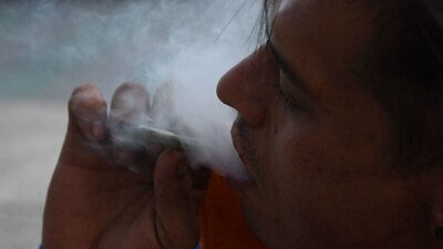 Activistas, políticos y ciudadanos festejaron la aprobación del dictamen en el cual se despenaliza el consumo