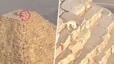 El perrito estaba solito y observaba la vista panorámica desde la construcción egipcia