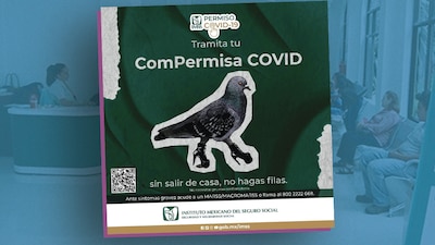 El IMSS se soltó la pela y decidió lanzar un épico meme para promover un servicio