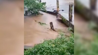 El hombre intentó sujetarse con todas sus fuerzas a un puente, pero fue arrastrado