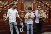 ¿Con quién se queda el perro? Avalan custodia compartida de mascotas en caso de divorcio