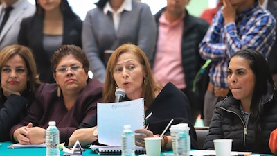 La diputada federal de Morena pidió que se analice a fondo la iniciativa