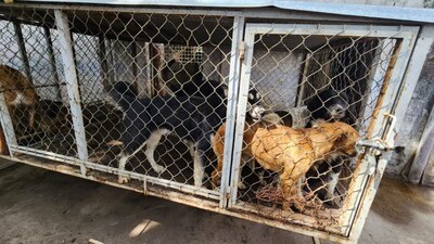 Organizaciones habían denunciados las malas condiciones