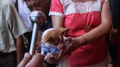 Es considerado patrono de ermitaños, monjes, animales domésticos y enterradores