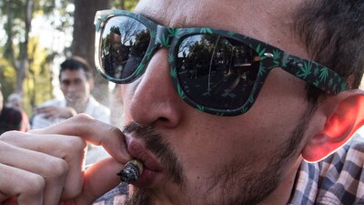 El documento busca regular el uso de la planta y sus derivados bajo el enfoque de salud pública